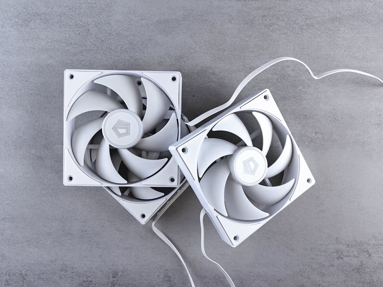 pexels photo 29177040.jpeg